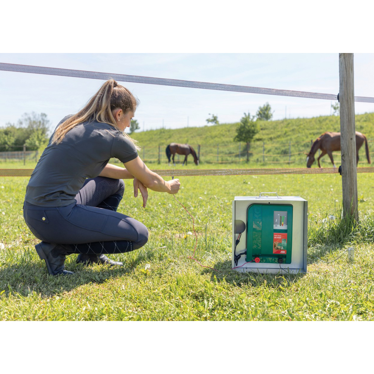 Weidezaungerät ranger AN3000 - 12 Volt, Elektrozaun Duo Gerät für mobile Zäune Weidezaungerät ranger AN3000 - 12 Volt, Elektrozaun Duo Gerät für mobile Zäune